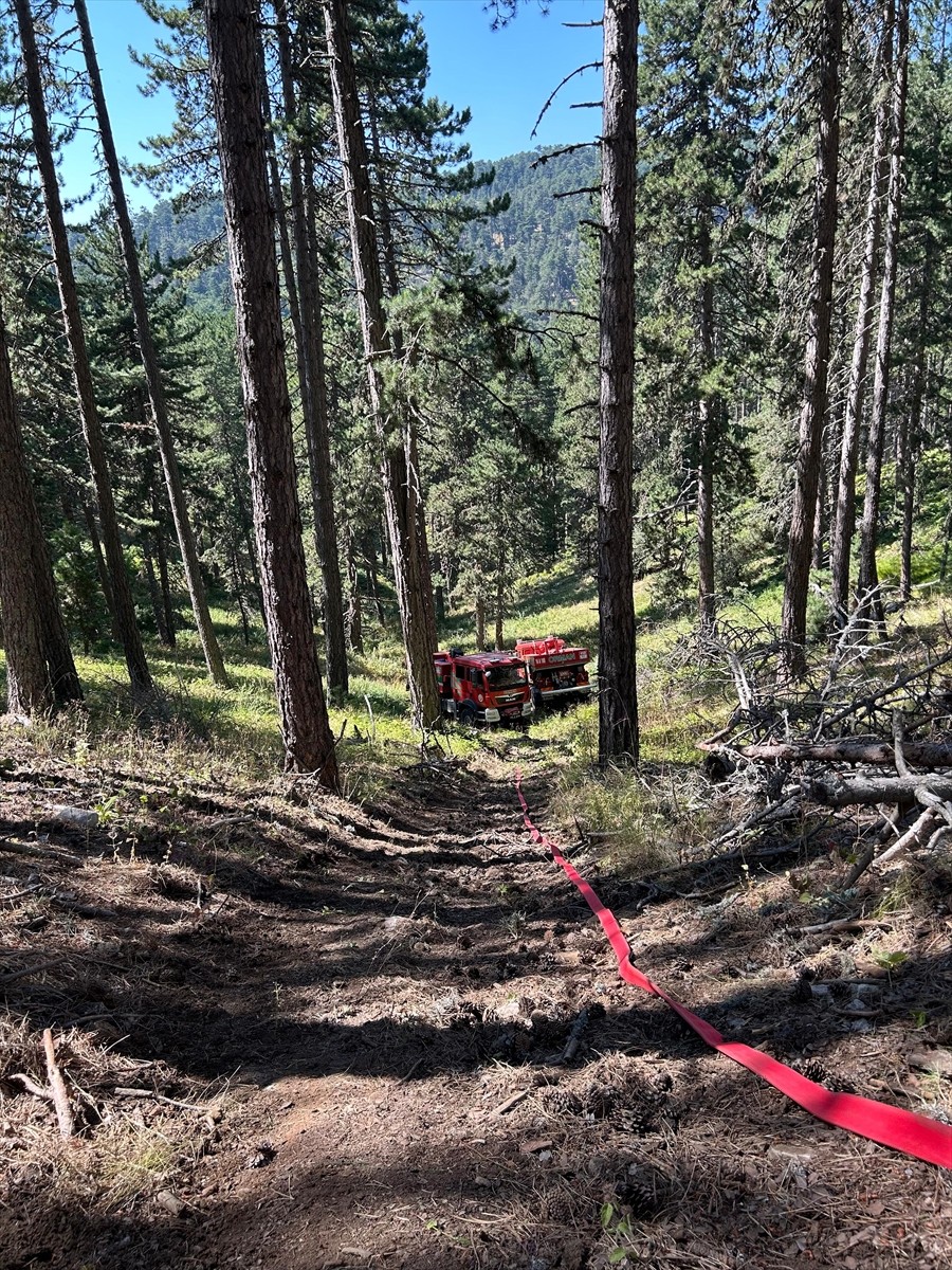 Bursa'nın Orhaneli ilçesi ile Keles ilçesi arasındaki ormanlık alanda çıkan yangın kontrol altına...
