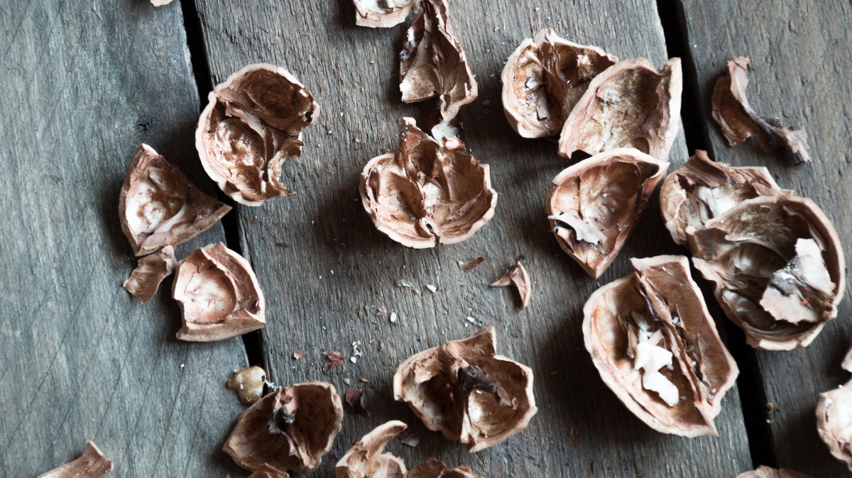 ceviz kabuğu ile saç boyama