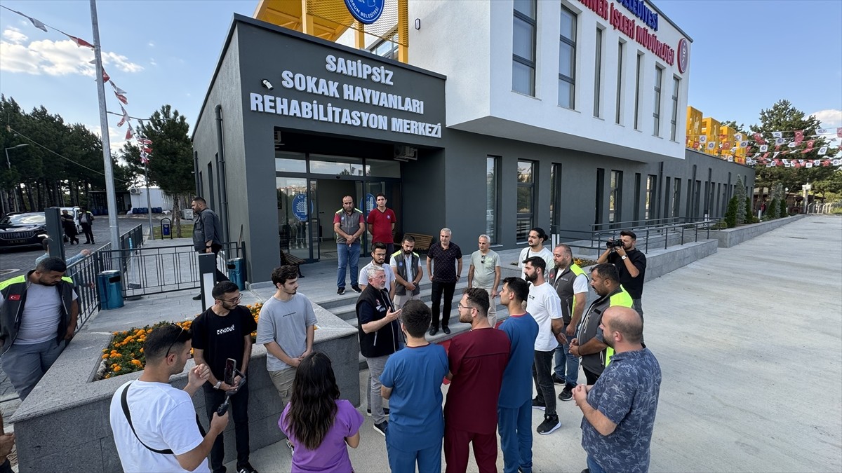 Çorum'da, Valilik ve 16 belediyenin katılımıyla kurulan Sahipsiz Hayvanları Koruma Birliği...