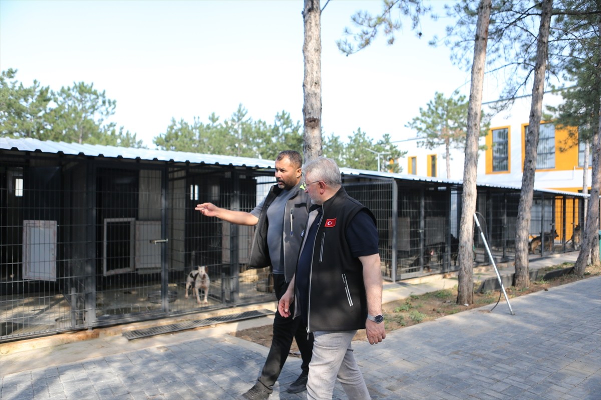Çorum'da, Valilik ve 16 belediyenin katılımıyla kurulan Sahipsiz Hayvanları Koruma Birliği...