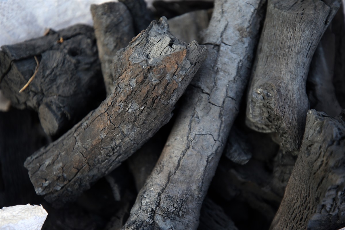 Diyarbakır ve Mardin'den Kayseri'nin Yahyalı ilçesine gelen işçiler, ekmek paralarını evlerinden...