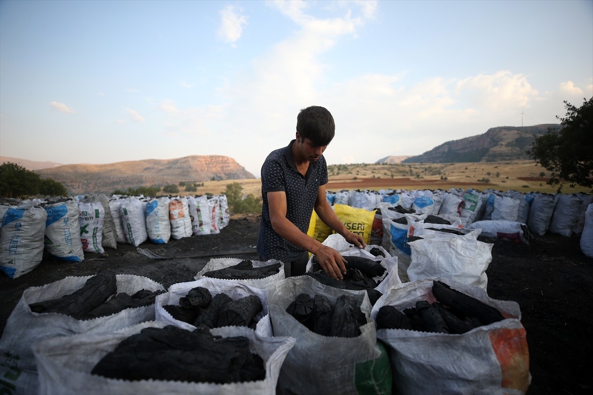 Diyarbakır ve Mardin'den Kayseri'nin Yahyalı ilçesine gelen işçiler, ekmek paralarını evlerinden...