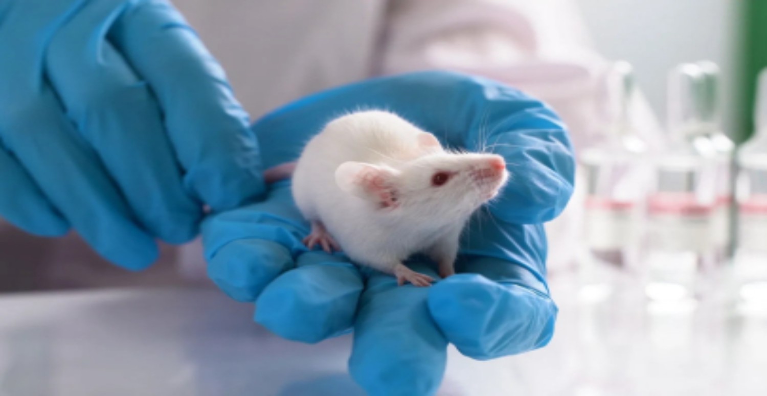 FARELER ÜZERİNDE DENEY