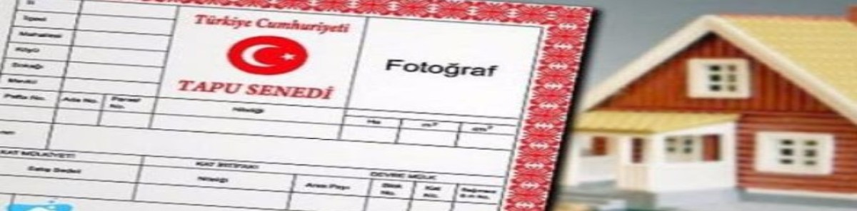 hisseli tapu