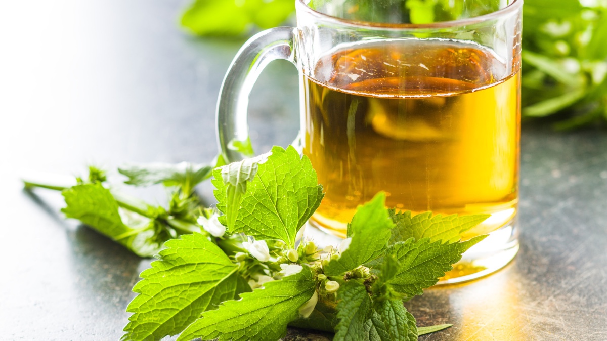 ısırgan otu çayı