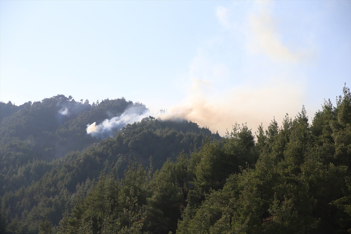 Kahramanmaraş'ın Onikişubat ilçesinde çıkan orman yangınına ekiplerce havadan ve karadan müdahale...