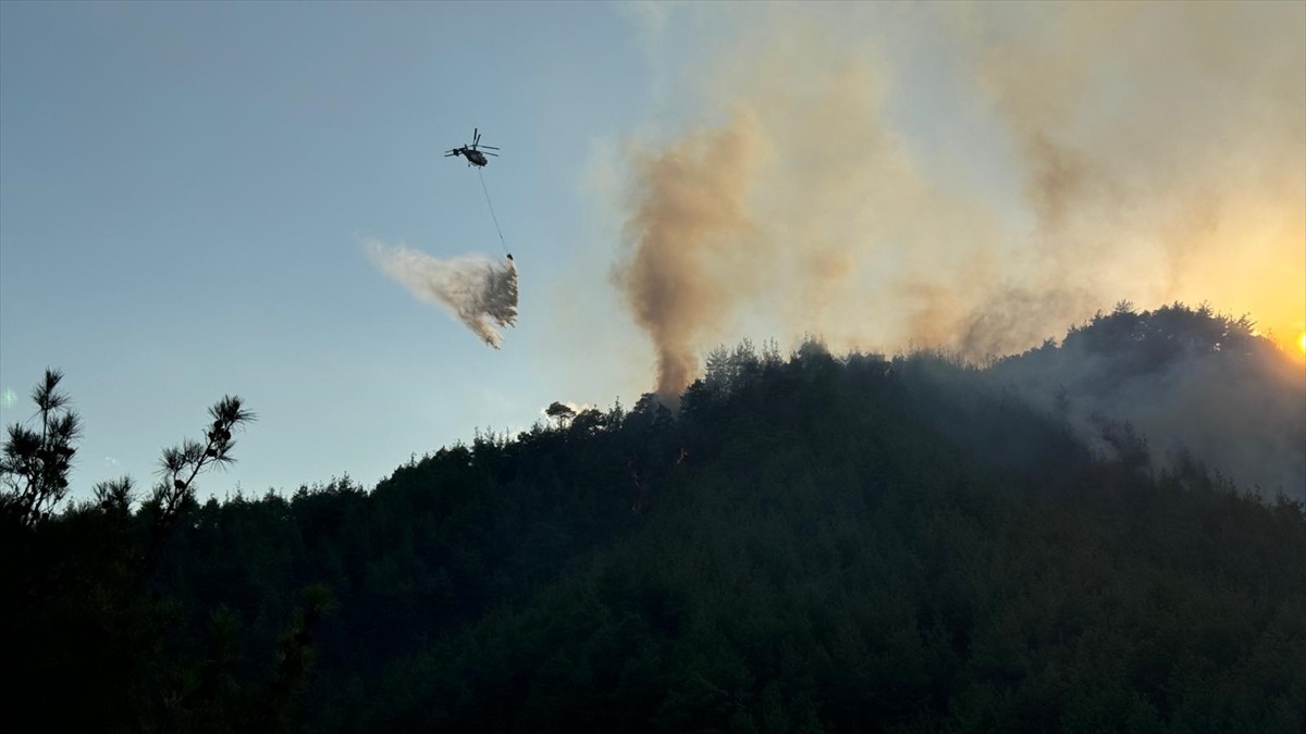 Kahramanmaraş'ın Onikişubat ilçesinde çıkan orman yangınına ekiplerce havadan ve karadan müdahale...