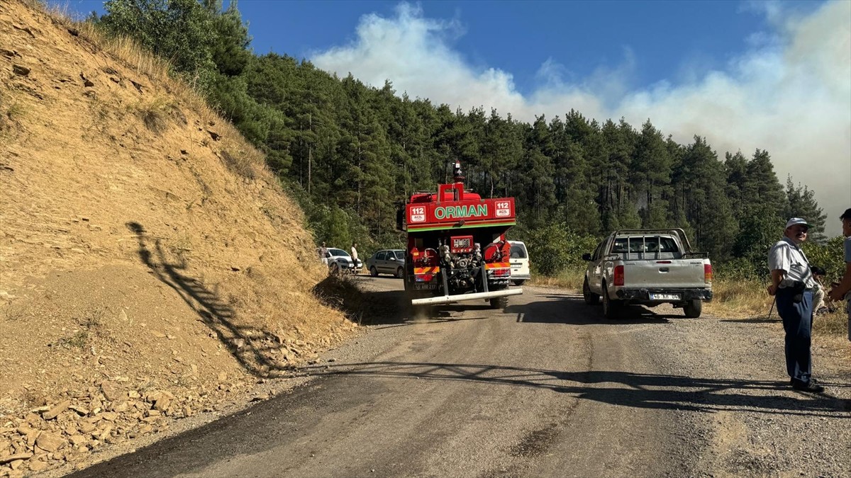Kahramanmaraş'ın Onikişubat ilçesinde çıkan orman yangınına havadan ve karadan müdahale...