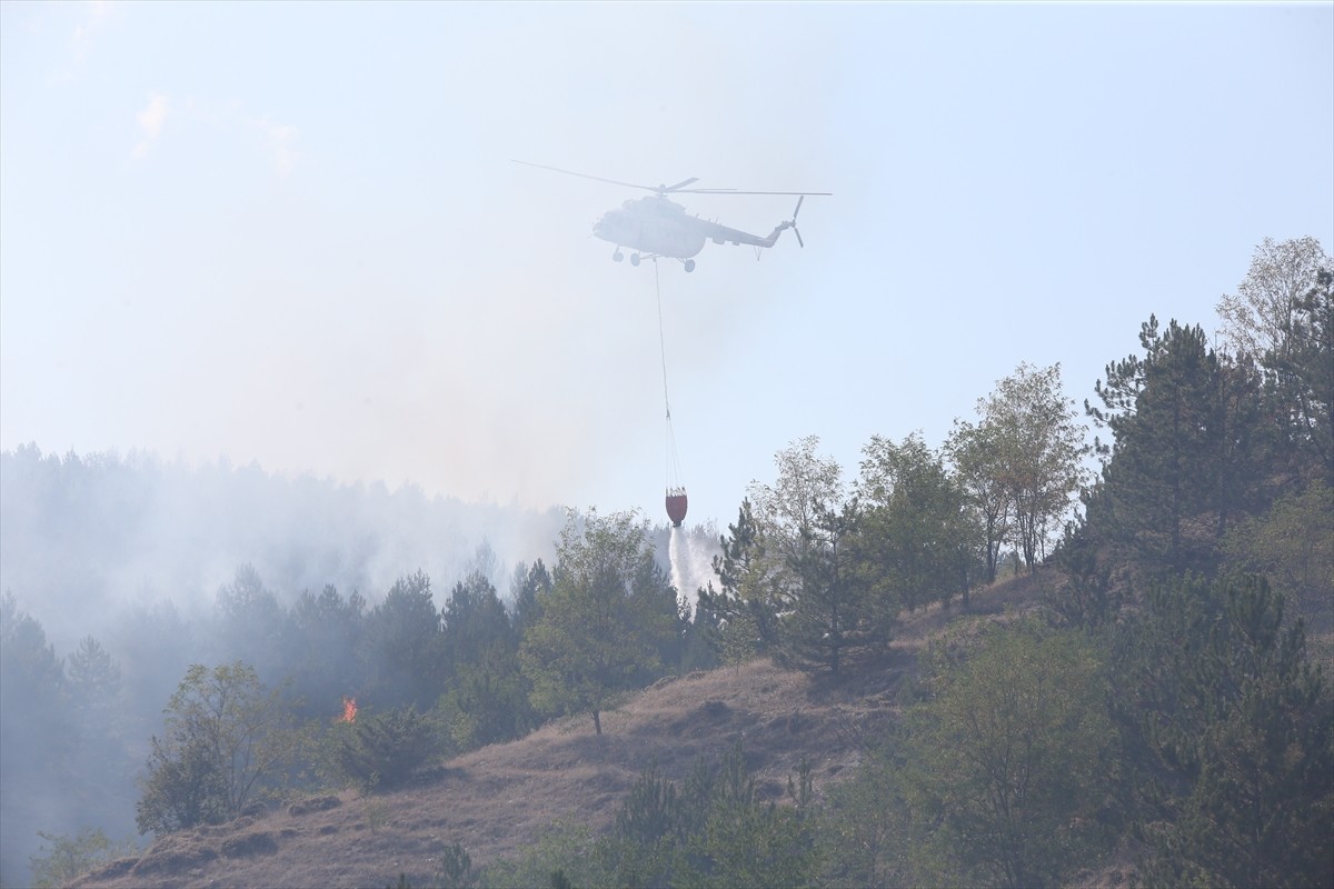 Kastamonu'da ormanlık alanda çıkan yangına ekipler karadan ve havadan müdahale etti. 
