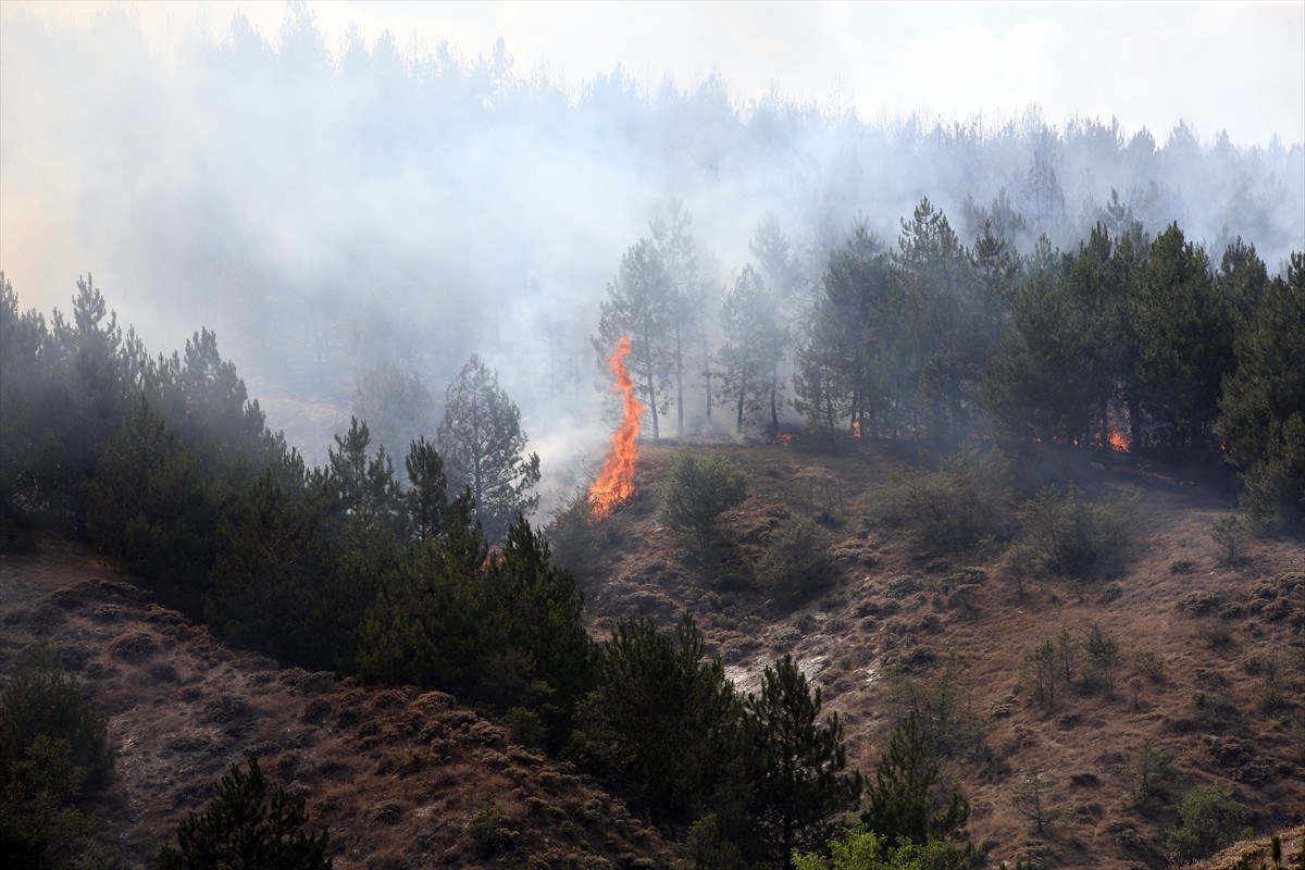 Kastamonu'da ormanlık alanda çıkan yangına ekipler karadan ve havadan müdahale etti. 