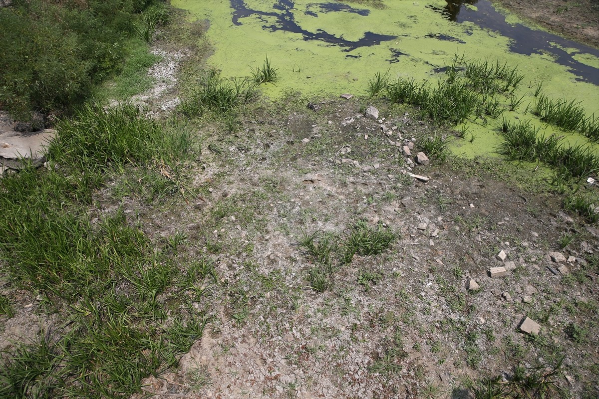 Kış aylarındaki yetersiz kar yağışları, yaz aylarındaki aşırı sıcaklar ve yer altı sularının yoğun...