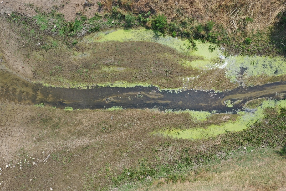 Kış aylarındaki yetersiz kar yağışları, yaz aylarındaki aşırı sıcaklar ve yer altı sularının yoğun...