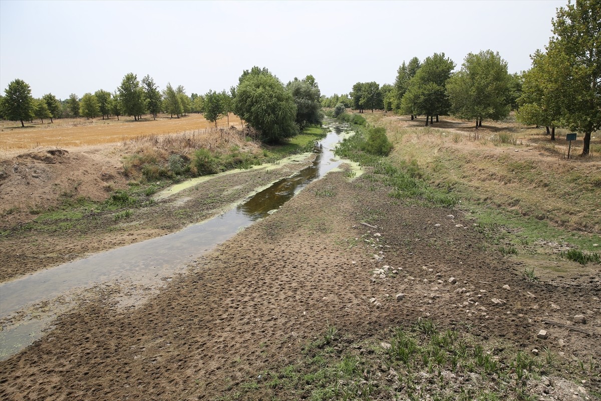 Kış aylarındaki yetersiz kar yağışları, yaz aylarındaki aşırı sıcaklar ve yer altı sularının yoğun...