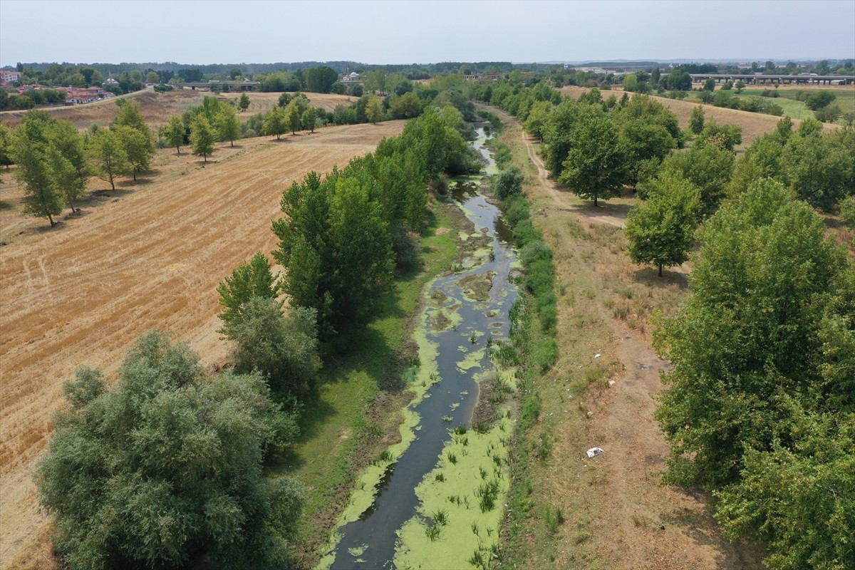 Kış aylarındaki yetersiz kar yağışları, yaz aylarındaki aşırı sıcaklar ve yer altı sularının yoğun...
