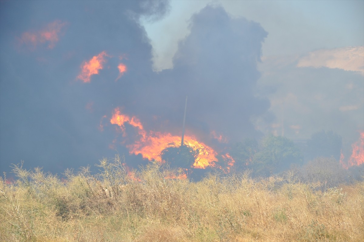 Mersin'in Silifke ilçesinde, eski kağıt fabrikası alanında çıkan yangın, havadan ve karadan...