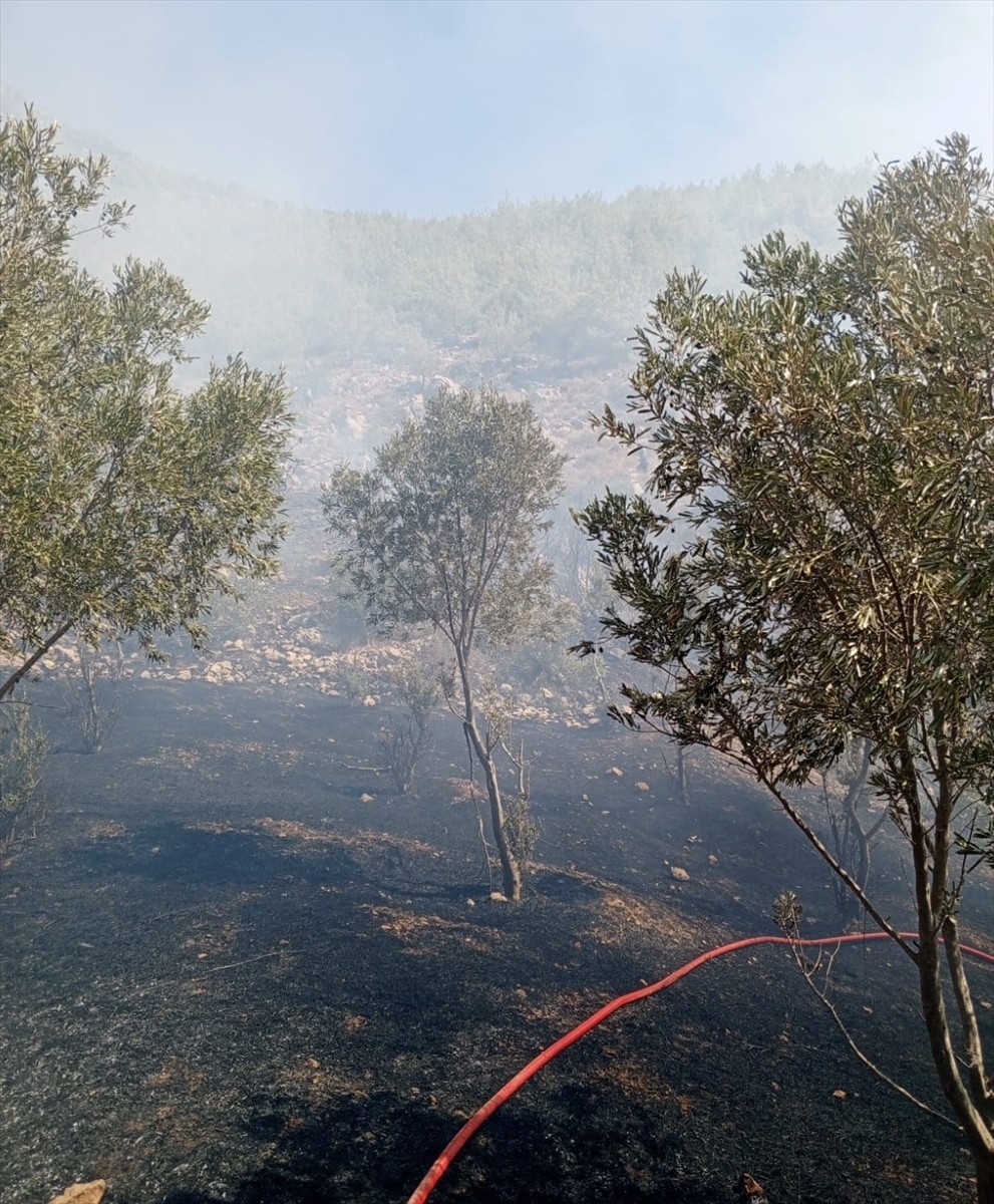 Mersin'in Silifke ilçesinde zirai alanda çıkan yangın, havadan ve karadan müdahaleyle...