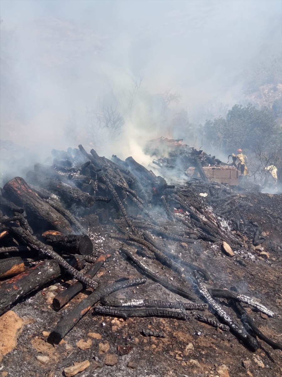 Mersin'in Silifke ilçesinde zirai alanda çıkan yangın, havadan ve karadan müdahaleyle...