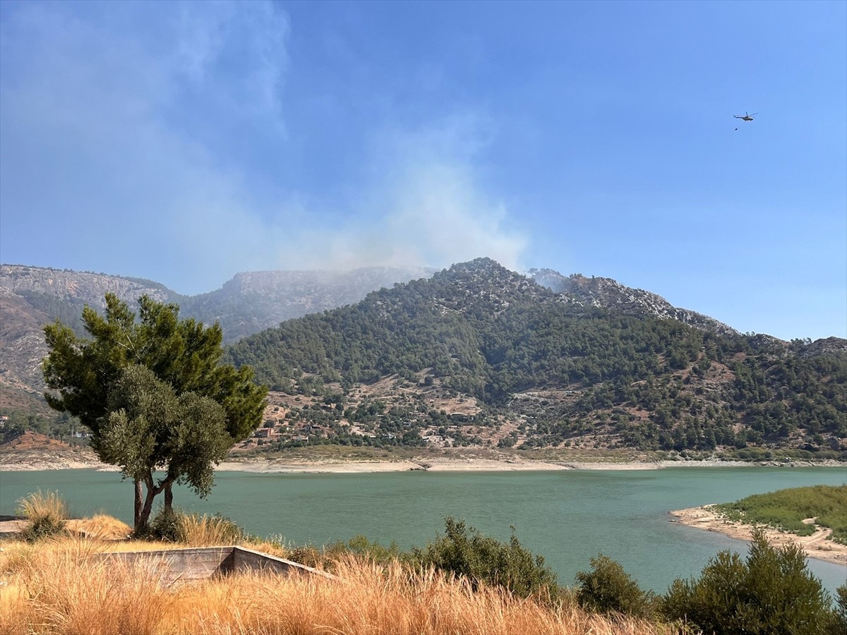 Muğla'nın Milas ilçesinde çıkan orman yangınına havadan ve karadan müdahale ediliyor.