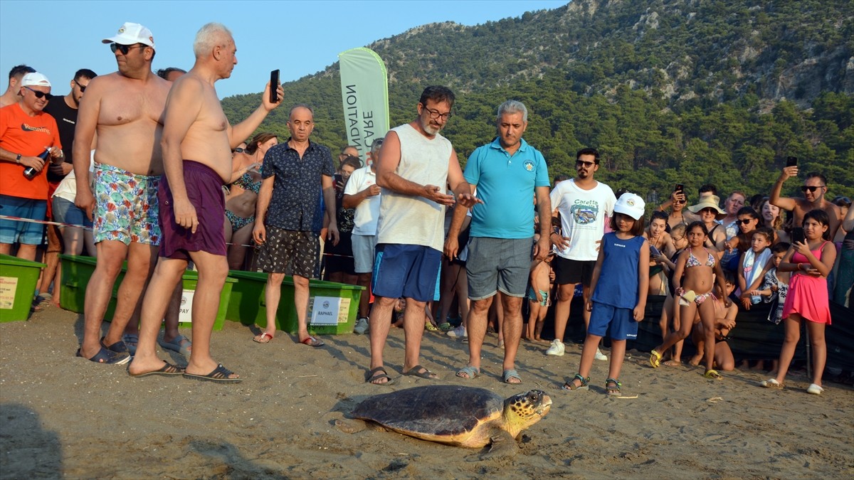 Muğla'nın Ortaca ilçesindeki Deniz Kaplumbağaları Araştırma, Kurtarma ve Rehabilitasyon...
