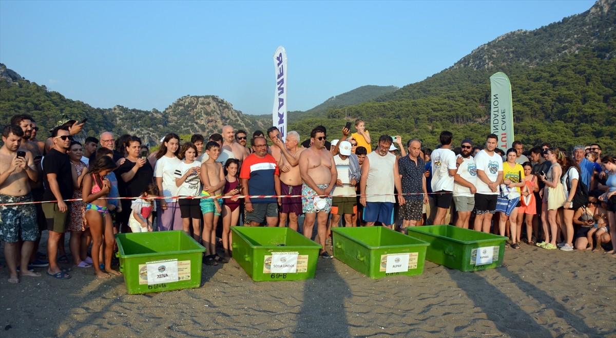 Muğla'nın Ortaca ilçesindeki Deniz Kaplumbağaları Araştırma, Kurtarma ve Rehabilitasyon...