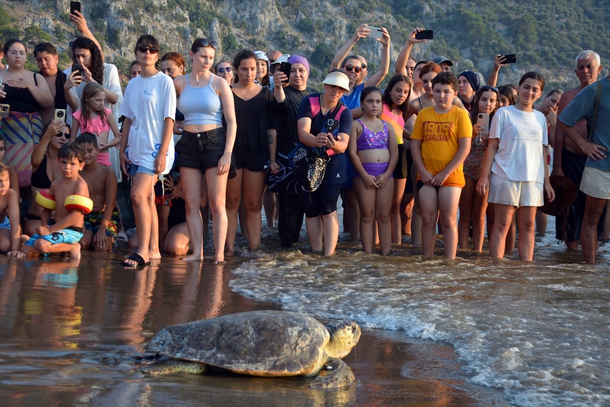 Muğla'nın Ortaca ilçesindeki Deniz Kaplumbağaları Araştırma, Kurtarma ve Rehabilitasyon...
