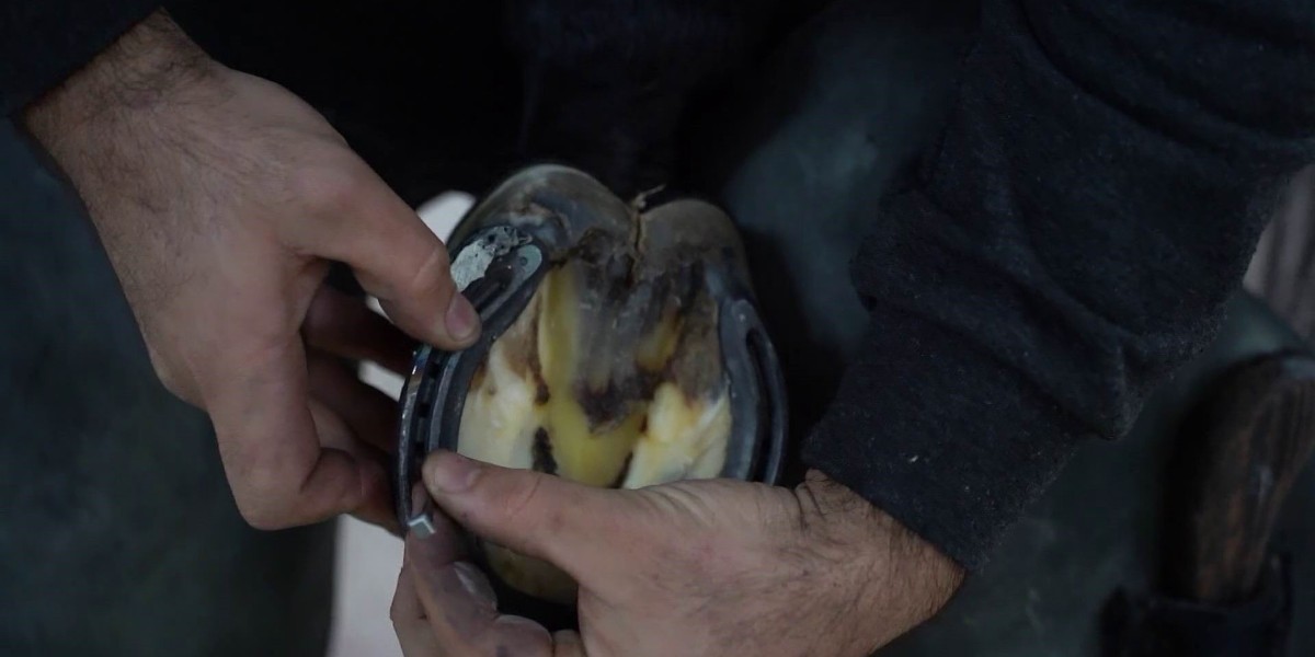 nalbantlık kursu başlıyor