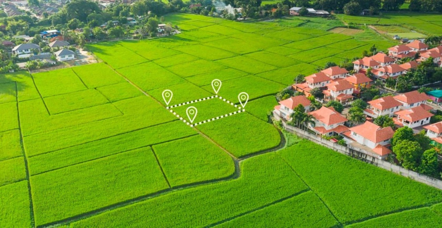 Parası ev almaya yetmeyenlere bomba yatırım! Parayı 12 ayda ikiye katlıyor