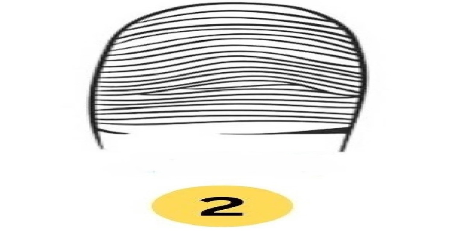 PARMAK İZİ HAKKINDA