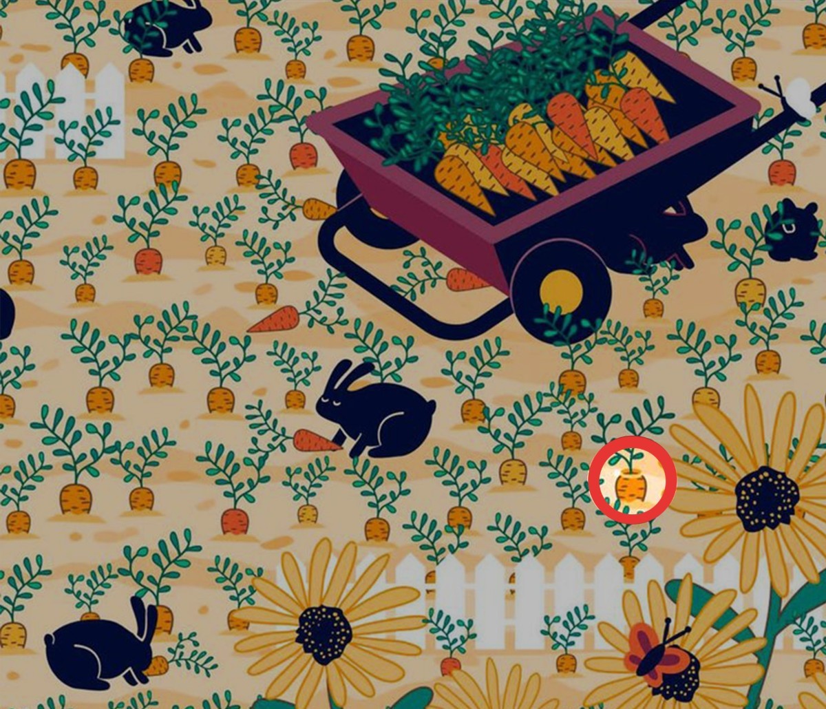 Resimdeki pırlanta yüzüğü sadece IQ'su 125 ve üzeri olanlar bulabiliyor