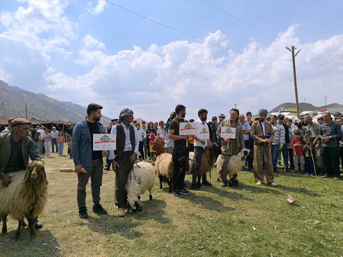 Şırnak'ın Beytüşşebap ilçesinde düzenlenen "Geleneksel Kuzu Kırpma Kültür ve Yayla Festivali"...