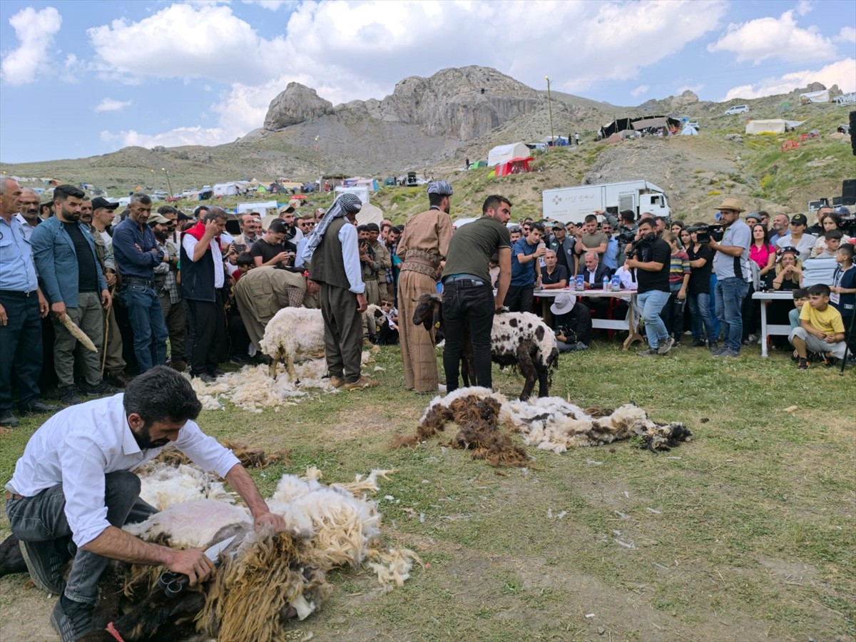 Şırnak'ın Beytüşşebap ilçesinde düzenlenen "Geleneksel Kuzu Kırpma Kültür ve Yayla Festivali"...