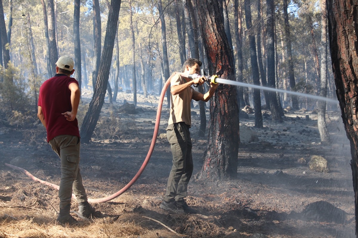 Antalya'nın Serik ilçesinde, ormanlık alanda çıkan yangın havadan ve karadan müdahaleyle kontrol...