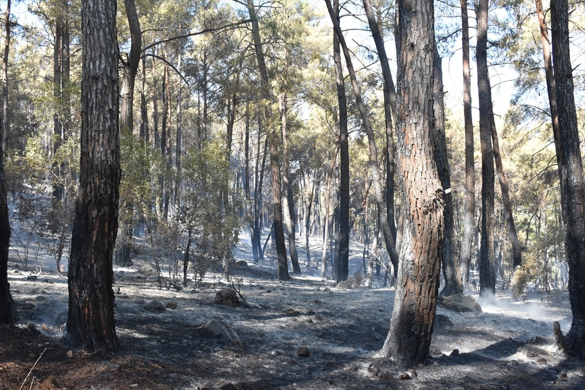 Antalya'nın Serik ilçesinde, ormanlık alanda çıkan yangın havadan ve karadan müdahaleyle kontrol...