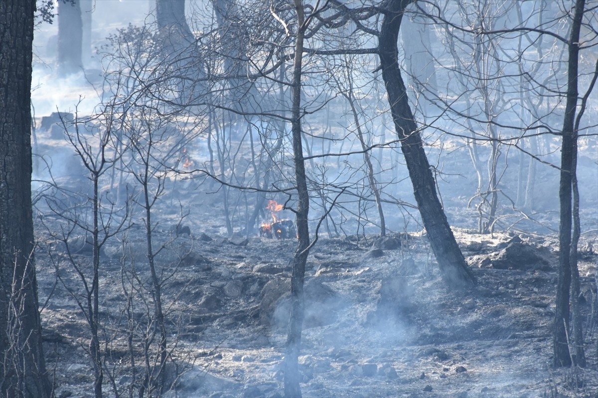 Antalya'nın Serik ilçesinde, ormanlık alanda çıkan yangına havadan ve karadan müdahale edildi....