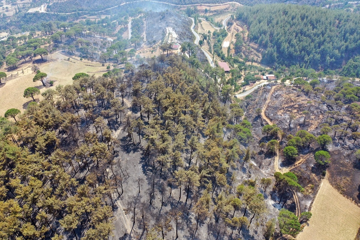  Aydın'ın Bozdoğan ilçesinde devam eden orman yangınında zarar gören yerler havadan...