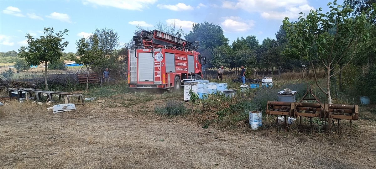Bilecik'in Pazaryeri ilçesinde otluk alanda çıkan yangın söndürüldü.