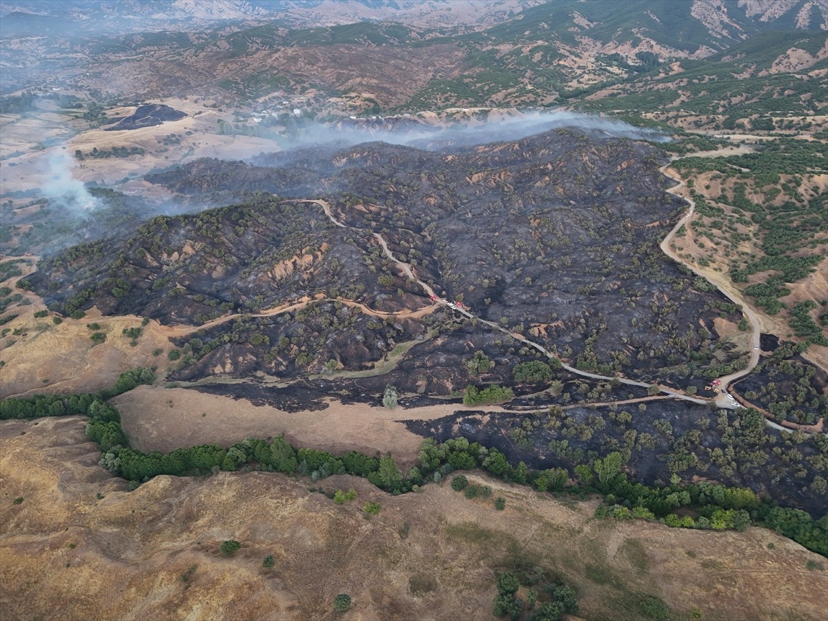 Bingöl'ün Genç ilçesinde çıkan orman yangını ekiplerin müdahalesiyle kontrol altına alındı....