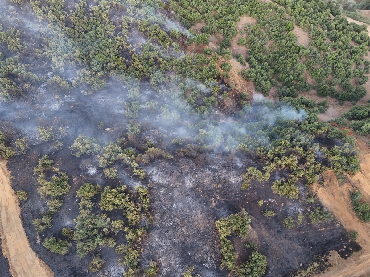 Bingöl'ün Genç ilçesinde çıkan orman yangını ekiplerin müdahalesiyle kontrol altına alındı....