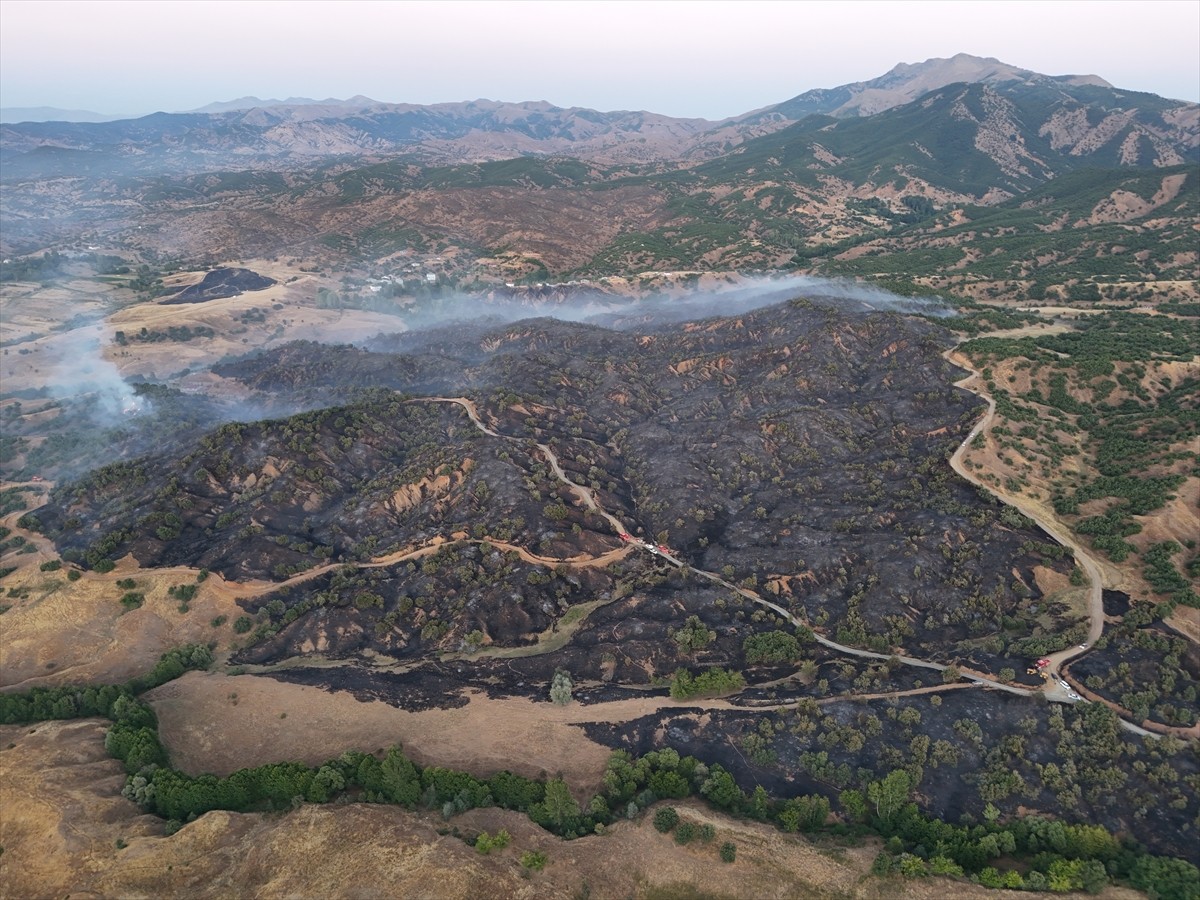 Bingöl'ün Genç ilçesinde çıkan orman yangını ekiplerin müdahalesiyle kontrol altına alındı....