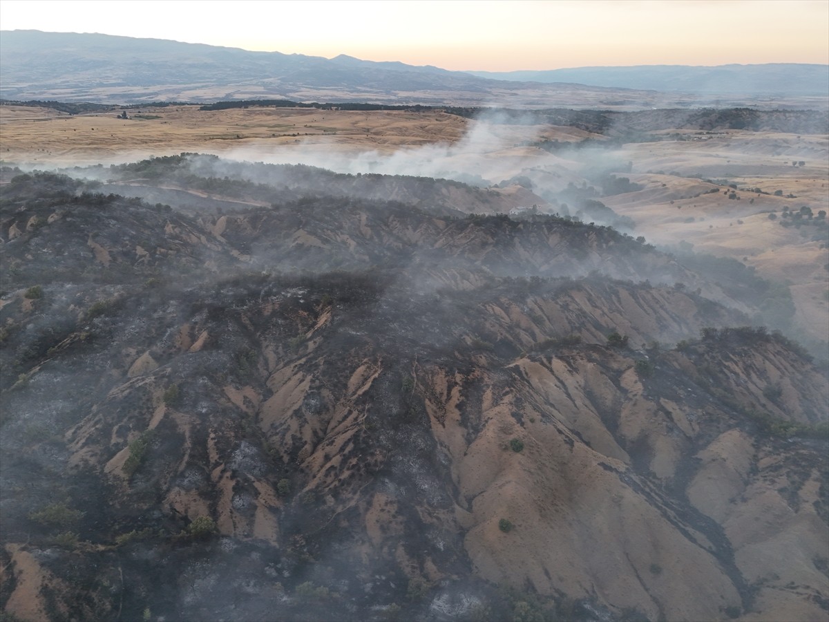 Bingöl'ün Genç ilçesinde çıkan orman yangını ekiplerin müdahalesiyle kontrol altına alındı....