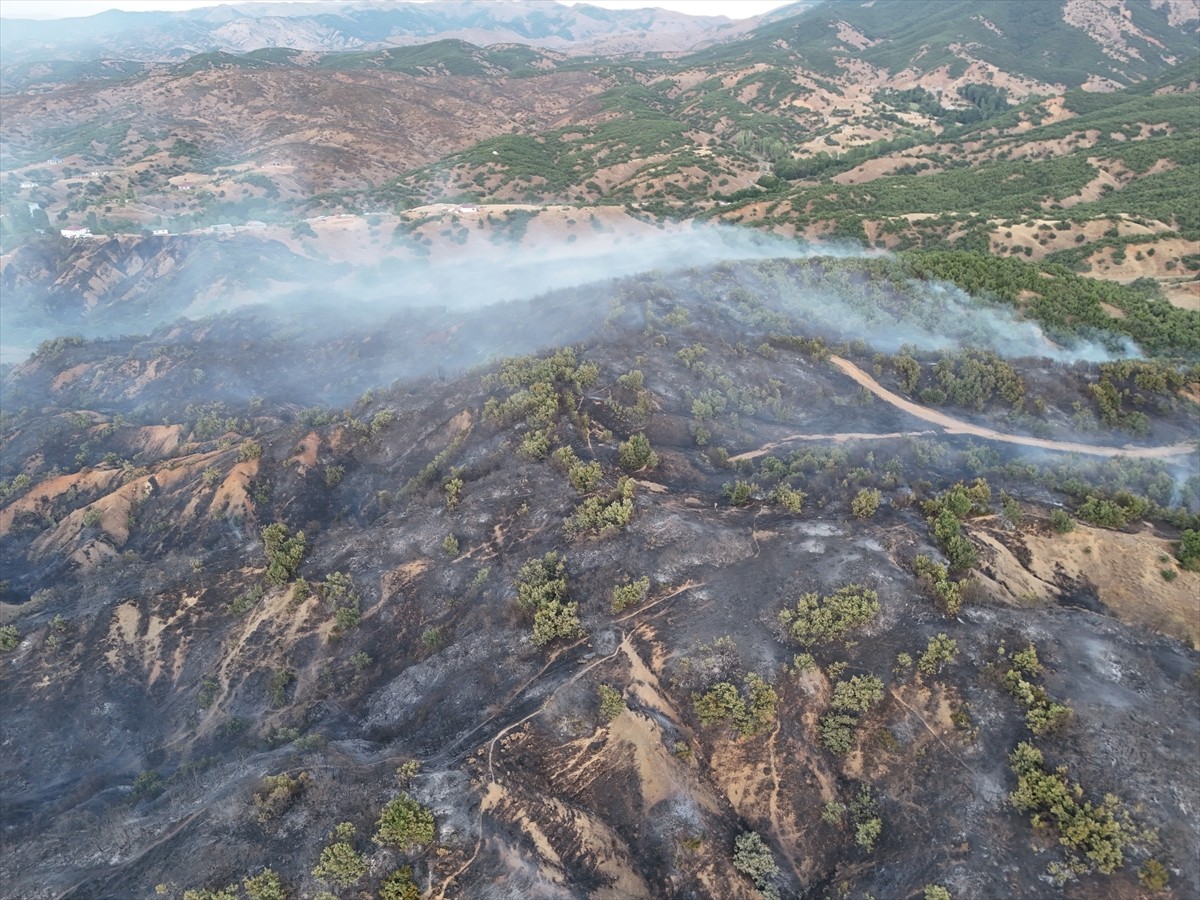 Bingöl'ün Genç ilçesinde çıkan orman yangını ekiplerin müdahalesiyle kontrol altına alındı....