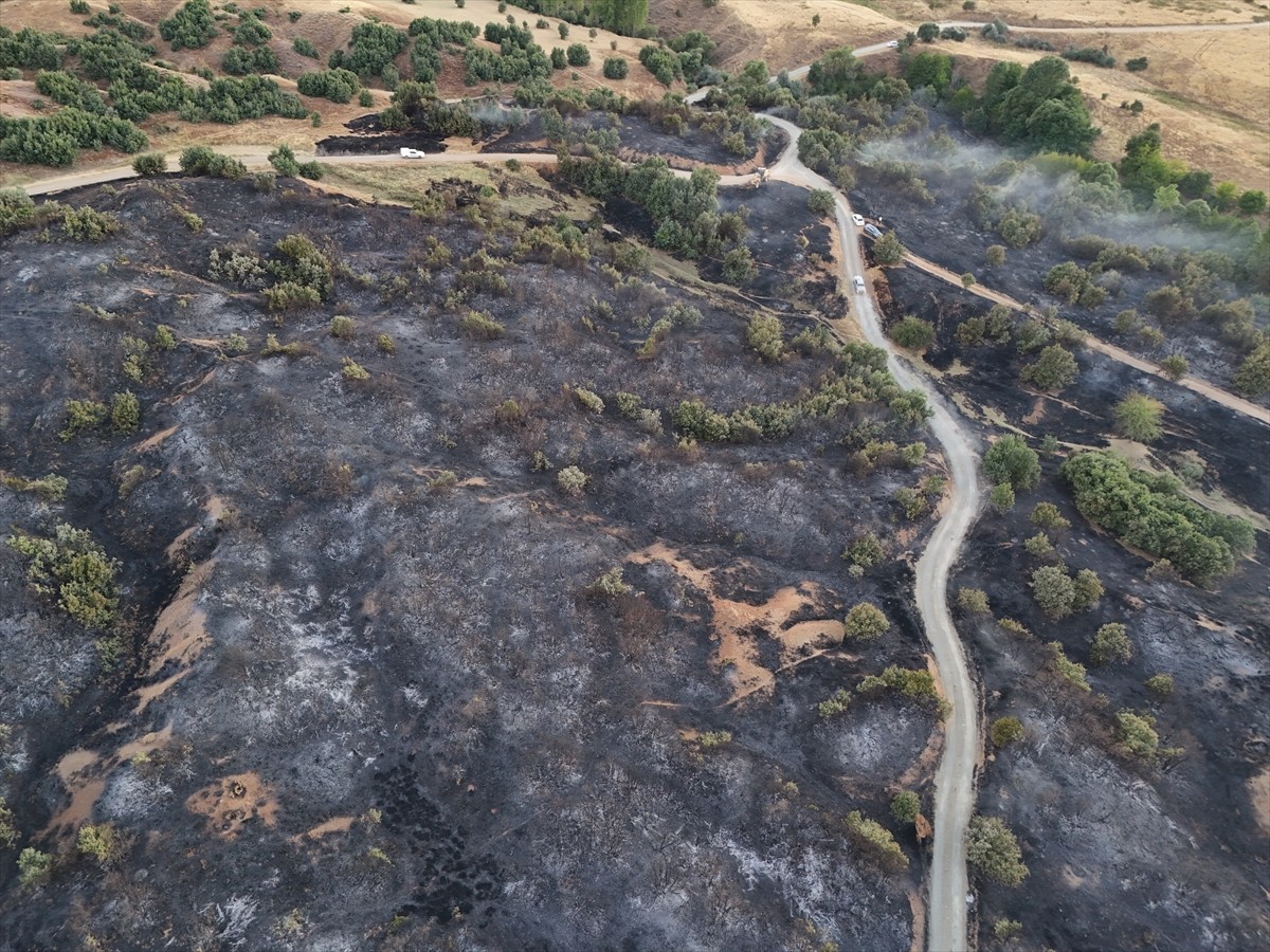Bingöl'ün Genç ilçesinde çıkan orman yangını ekiplerin müdahalesiyle kontrol altına alındı....