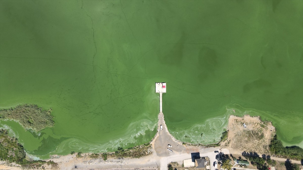 Bolu'nun önemli sulak alanlarından biri olan Yeniçağa Gölü'nün büyük kısmı, alg patlaması...