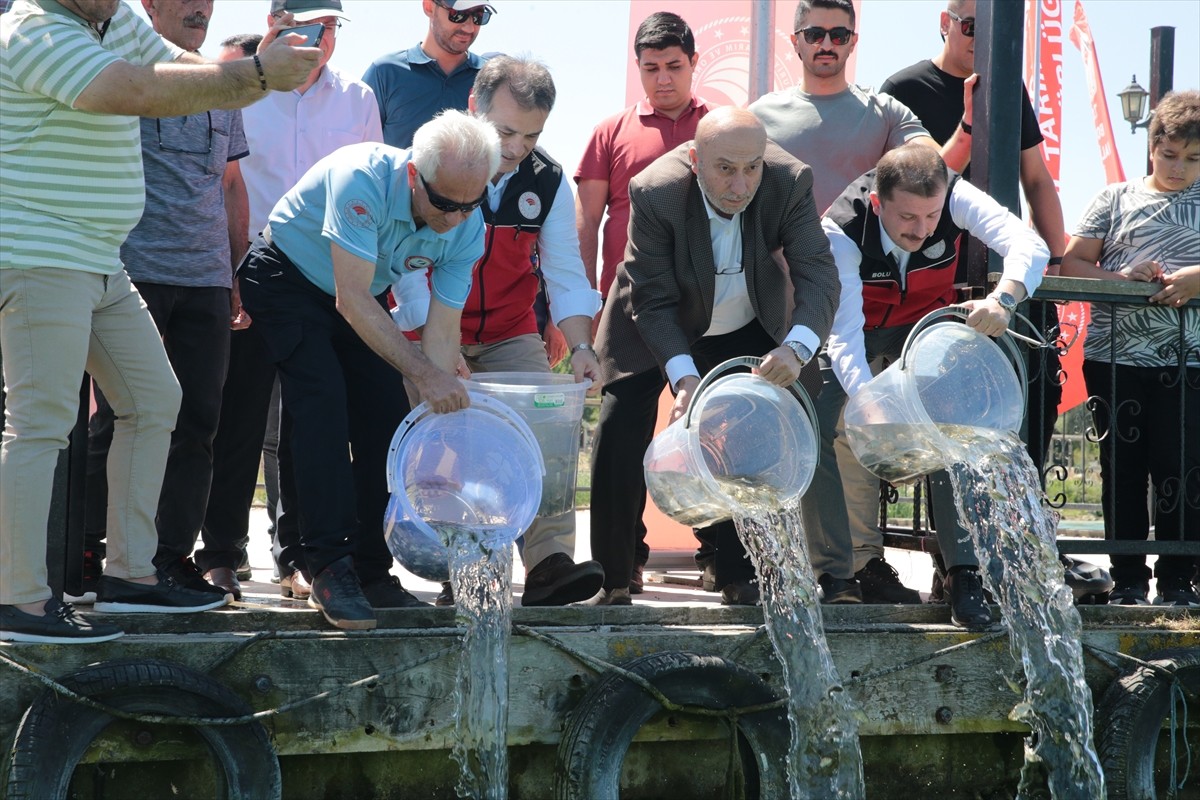 Bolu'nun Yeniçağa ilçesindeki Yeniçağa Gölü'ne, Tarım ve Orman Bakanlığınca ülke genelindeki göl...