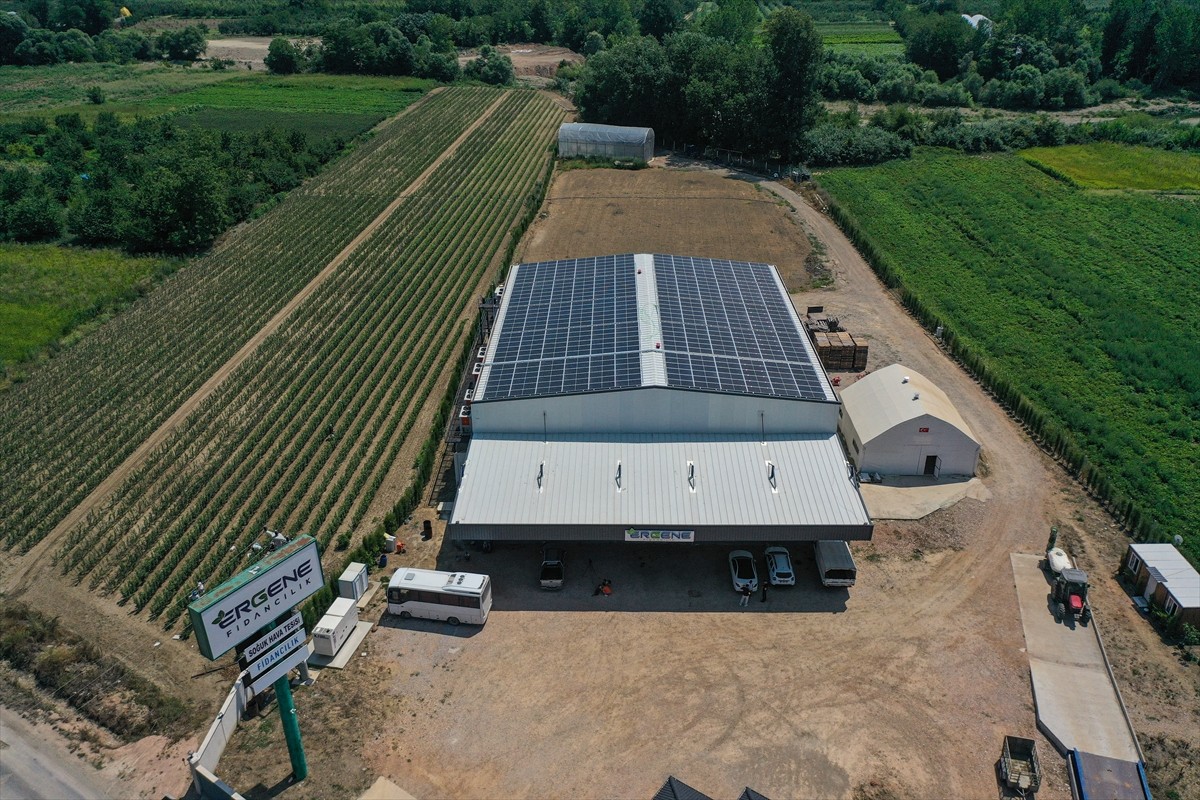 Bursa'nın İnegöl ilçesinde yılda 1 milyon meyve fidanı yetiştiren Ayşe ve Mehmet Ergene çifti...