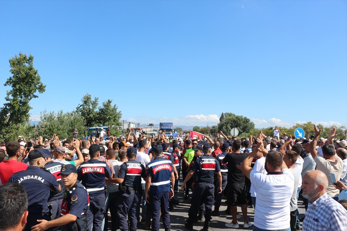 Bursa'nın Karacabey ve Mustafakemalpaşa ilçelerindeki domates üreticileri, "salça fabrikalarının...