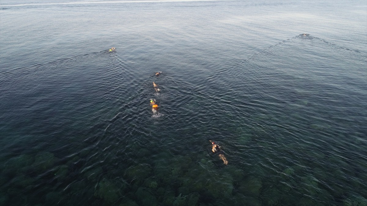 Çanakkale'de, Boğaziçi Olimpik Yüzme Kulübünce, Çanakkale Valiliği ile Türkiye Yüzme...