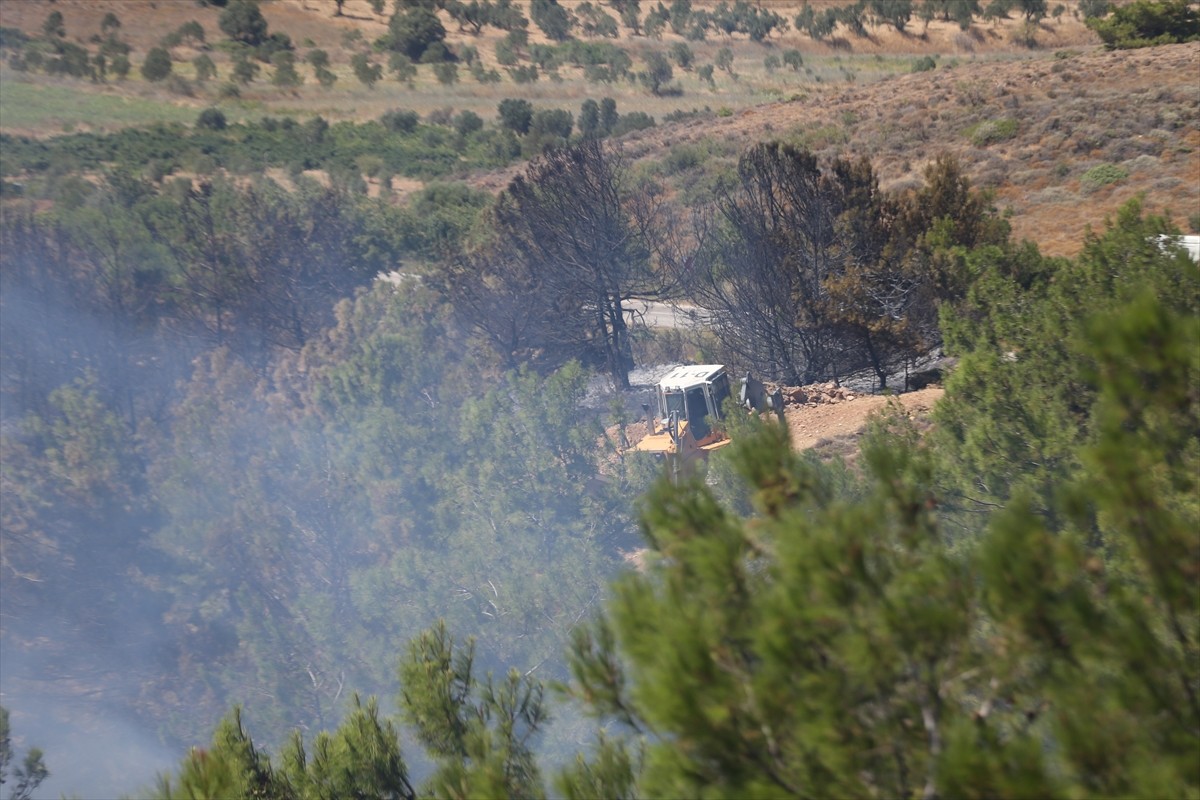 Çanakkale'nin Bozcaada ilçesinde tarım arazisinde çıkan yangın söndürülmeye...