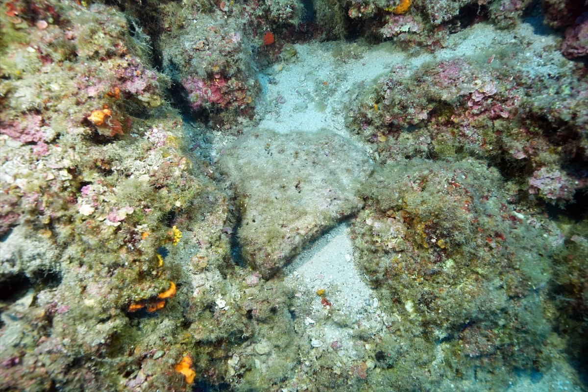  Dünyanın bilinen en eski batığı olarak nitelenen Kumluca Orta Tunç Çağı Batığı'nda arkeologların...