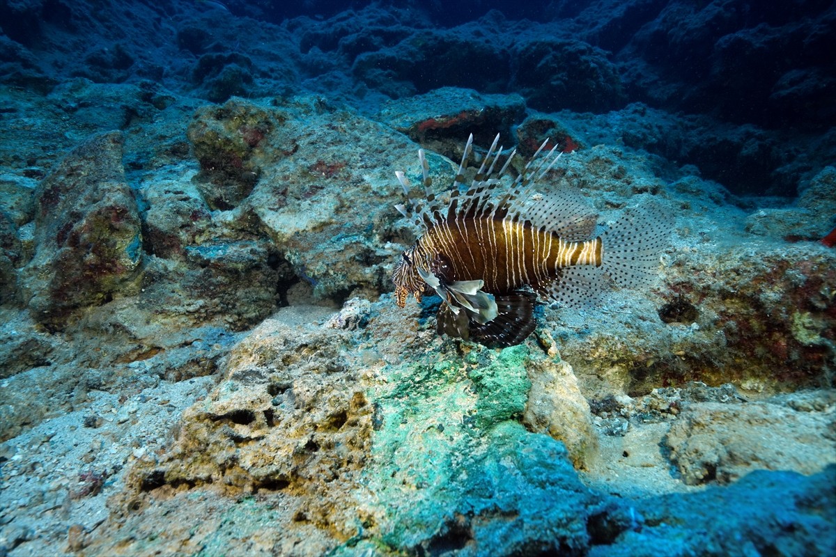  Dünyanın bilinen en eski batığı olarak nitelenen Kumluca Orta Tunç Çağı Batığı'nda arkeologların...